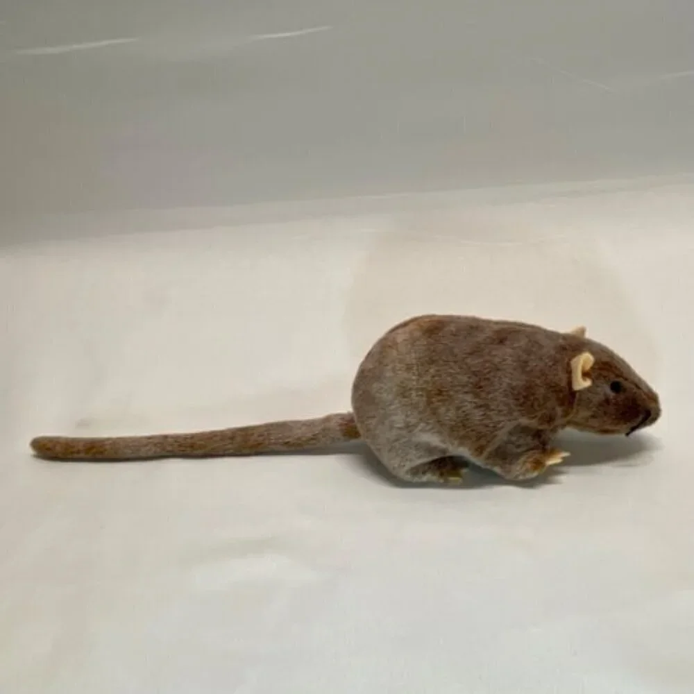 Ty Beanie Baby TIPTOE the‎ Mouse 1999 Beanbag Plush Stuffed Animal Toy Vintage